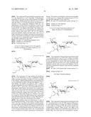 Novel aminoglycoside antibiotics diagram and image