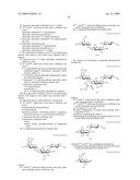 Novel aminoglycoside antibiotics diagram and image