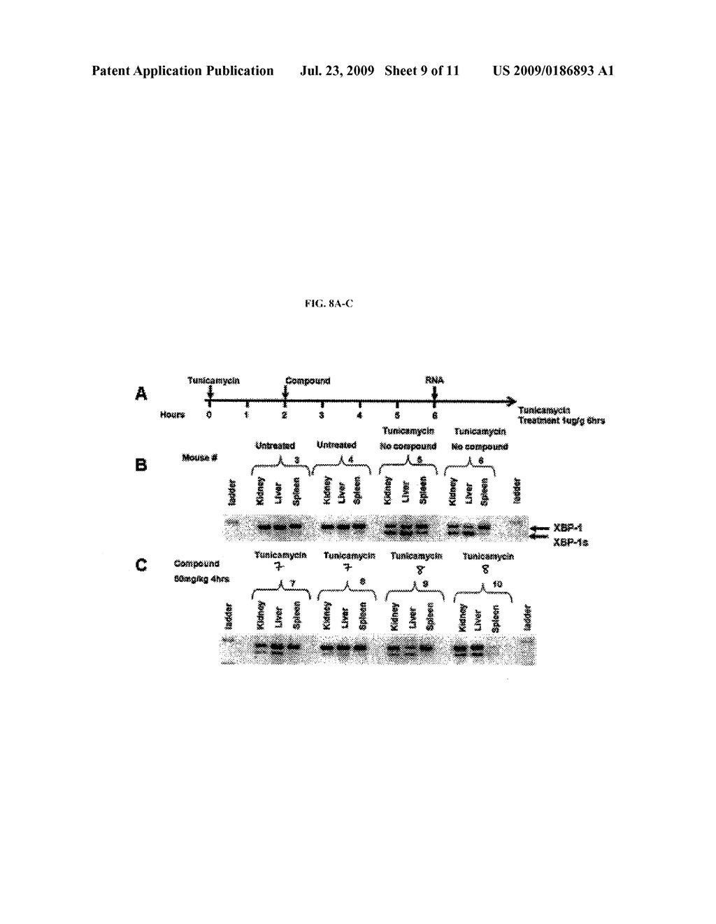 IRE-1alpha INHIBITORS - diagram, schematic, and image 10