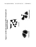 COMPOSITIONS AND METHODS FOR REDUCING CELLULAR FAT AND FOR PREDICTING CARDIAC TOXICITY AND UPON TREATMENT WITH TYROSINE KINASE INHIBITORS diagram and image