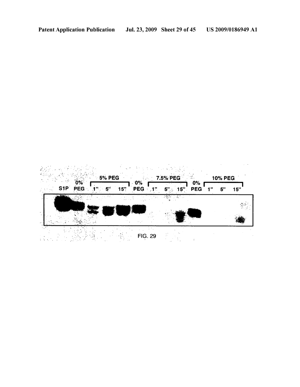 Method for Treating Endothelial and Epithelial Cell Disorders by Administering High Molecular Weight PEG-Like Compounds - diagram, schematic, and image 30
