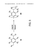 PARYLENE VARIANTS AND METHODS OF SYNTHESIS AND USE diagram and image