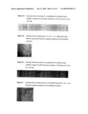 SCALE-UP METHODS AND SYSTEMS FOR PERFORMING THE SAME diagram and image