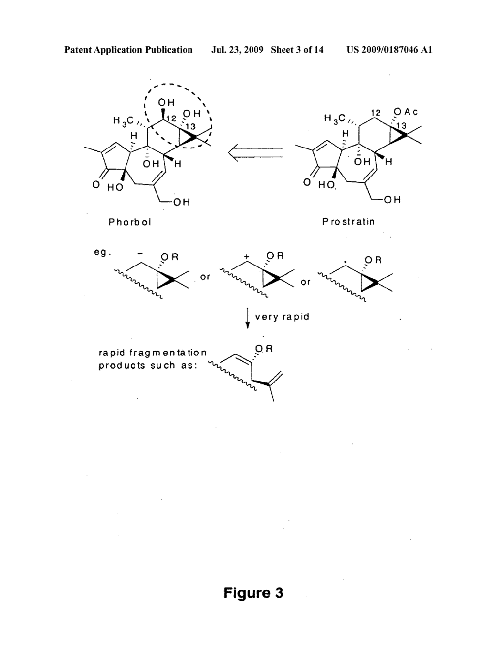 Process to Produce Prostratin and Structural or Functional Analogs Thereof - diagram, schematic, and image 04