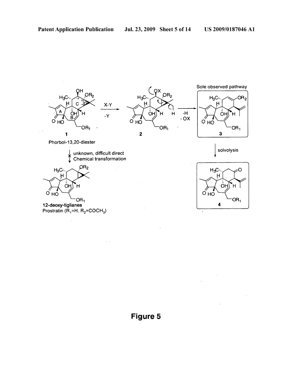 Process to Produce Prostratin and Structural or Functional Analogs Thereof - diagram, schematic, and image 06