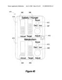 Method and apparatus for programming of autonomic neuromodulation for the treatment of obesity diagram and image