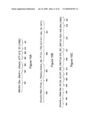 SYSTEM AND METHOD FOR DETERMINING VALID CITATION PATTERNS IN ELECTRONIC DOCUMENTS diagram and image