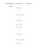 PLANTS HAVING TOMATO TORRADO VIRUS RESISTANCE diagram and image