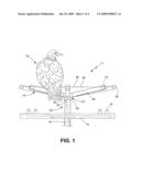 Raptor perch apparatus and system diagram and image