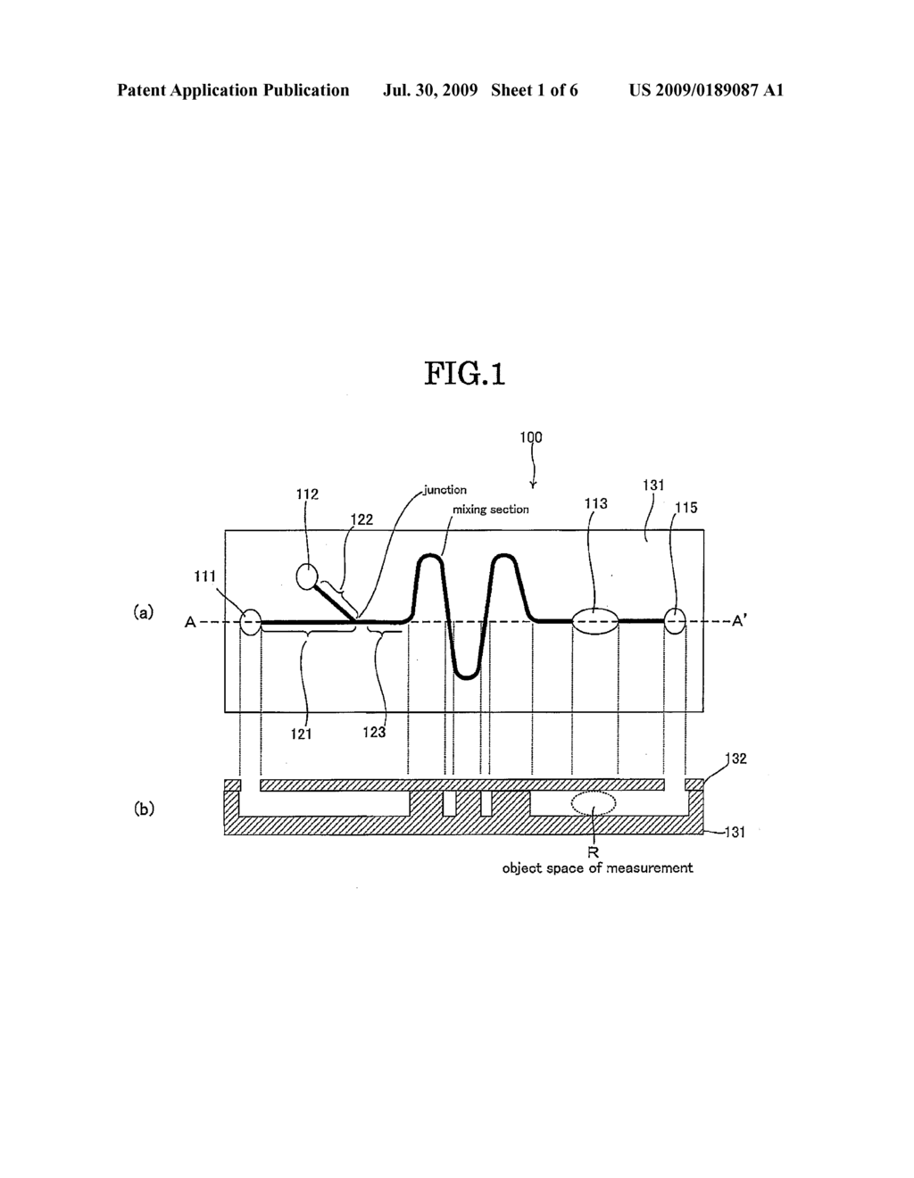 MEASURING DEVICE AND MEASURING METHOD - diagram, schematic, and image 02