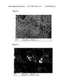 Process for the preparation of garnet phosphors in a pulsation reactor diagram and image