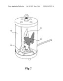 ANIMATED LIGHT WITH DYNAMIC ORNAMENTAL EFFECT diagram and image