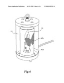 ANIMATED LIGHT WITH DYNAMIC ORNAMENTAL EFFECT diagram and image