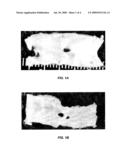 PEPTIDE AND MULTIVALENT PEPTIDE CONJUGATE FOR DIAGNOSIS AND TREATMENT OF VASCULAR PLAQUES diagram and image