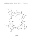 PEPTIDE AND MULTIVALENT PEPTIDE CONJUGATE FOR DIAGNOSIS AND TREATMENT OF VASCULAR PLAQUES diagram and image