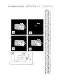 USE OF PARTICULATE CONTRAST AGENTS IN DIAGNOSTIC IMAGING FOR STUDYING PHYSIOLOGICAL PARAMATERS diagram and image