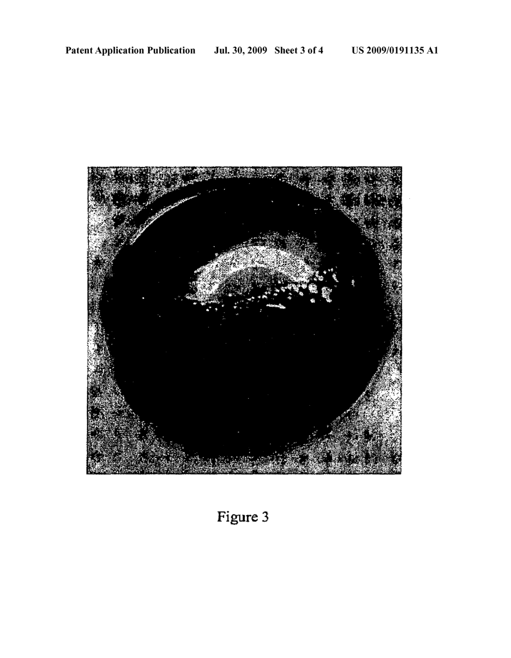 METHODS FOR THE DISPERSION OF WATER-SOLUABLE OR HYDROPHILIC SUBSTANCES IN A SUPERCRITICALLY PRESSURIZED FLUID - diagram, schematic, and image 04