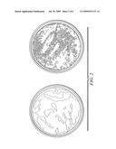 Method and Material for Controlling or Eliminating Potentially Harmful, Contaminating or Nuisance Micro-Organisms or Cells diagram and image