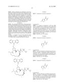 OXIMYL MACROCYCLIC DERIVATIVES diagram and image