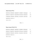 ASSEMBLY AND FOLDING OF FC-INTERFERON-BETA FUSION PROTEINS diagram and image