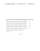 ASSEMBLY AND FOLDING OF FC-INTERFERON-BETA FUSION PROTEINS diagram and image