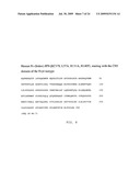 ASSEMBLY AND FOLDING OF FC-INTERFERON-BETA FUSION PROTEINS diagram and image