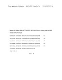 ASSEMBLY AND FOLDING OF FC-INTERFERON-BETA FUSION PROTEINS diagram and image