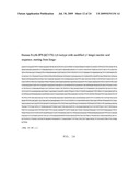 ASSEMBLY AND FOLDING OF FC-INTERFERON-BETA FUSION PROTEINS diagram and image