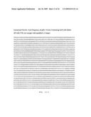 ASSEMBLY AND FOLDING OF FC-INTERFERON-BETA FUSION PROTEINS diagram and image