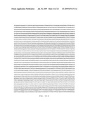 ASSEMBLY AND FOLDING OF FC-INTERFERON-BETA FUSION PROTEINS diagram and image