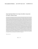 ASSEMBLY AND FOLDING OF FC-INTERFERON-BETA FUSION PROTEINS diagram and image