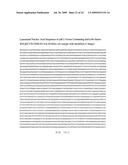 ASSEMBLY AND FOLDING OF FC-INTERFERON-BETA FUSION PROTEINS diagram and image