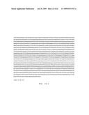 ASSEMBLY AND FOLDING OF FC-INTERFERON-BETA FUSION PROTEINS diagram and image