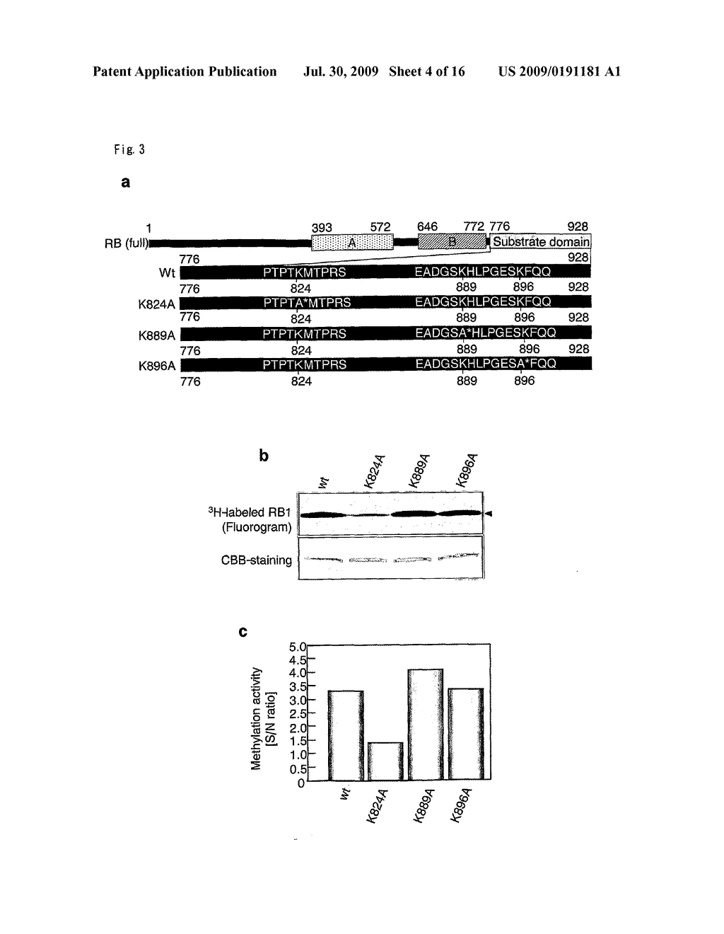 METHODS OF MODULATING SMYD3 FOR TREATMENT OF CANCER - diagram, schematic, and image 05