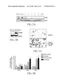 Reducing Cancer Cell Invasion Using an Inhibitor of Toll Like Receptor Signaling diagram and image