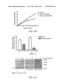 Reducing Cancer Cell Invasion Using an Inhibitor of Toll Like Receptor Signaling diagram and image