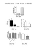 Reducing Cancer Cell Invasion Using an Inhibitor of Toll Like Receptor Signaling diagram and image