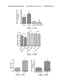 Reducing Cancer Cell Invasion Using an Inhibitor of Toll Like Receptor Signaling diagram and image