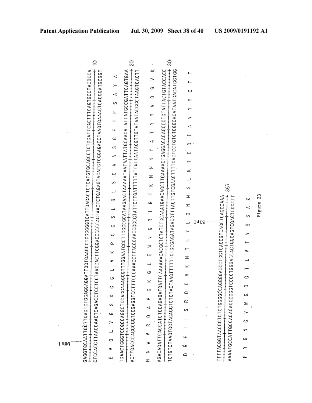 HUMANIZED ANTI-CCR2 ANTIBODIES AND METHODS OF USE THEREFOR - diagram, schematic, and image 39