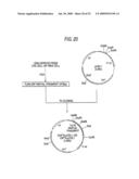 GLYCOENGINEERED, RECOMBINANT ANTIBODY diagram and image