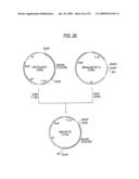 GLYCOENGINEERED, RECOMBINANT ANTIBODY diagram and image