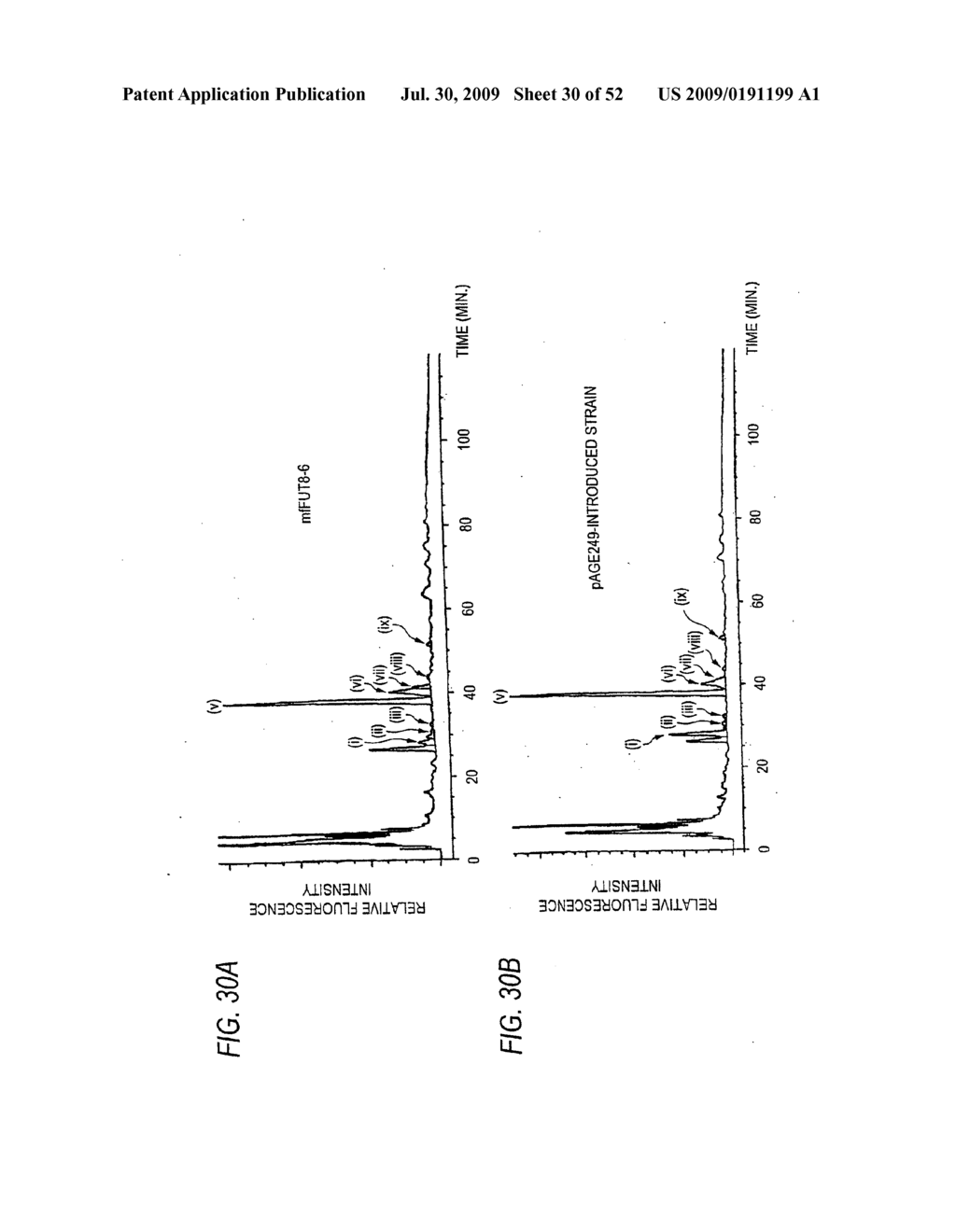 GLYCOENGINEERED, RECOMBINANT ANTIBODY - diagram, schematic, and image 31