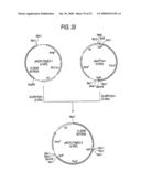 GLYCOENGINEERED, RECOMBINANT ANTIBODY diagram and image