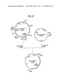 GLYCOENGINEERED, RECOMBINANT ANTIBODY diagram and image