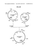 GLYCOENGINEERED, RECOMBINANT ANTIBODY diagram and image