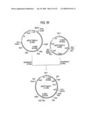 GLYCOENGINEERED, RECOMBINANT ANTIBODY diagram and image