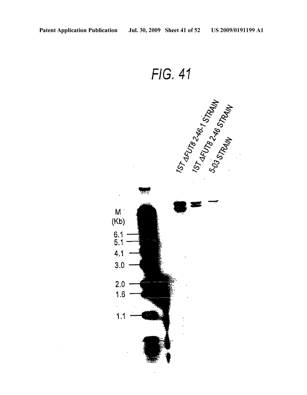 GLYCOENGINEERED, RECOMBINANT ANTIBODY - diagram, schematic, and image 42