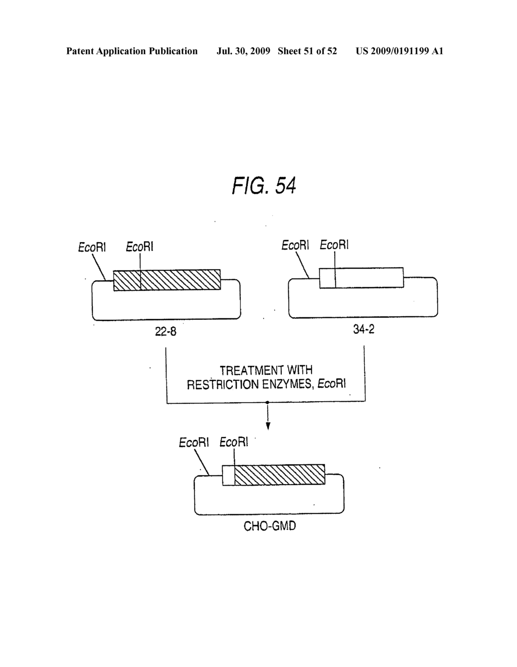 GLYCOENGINEERED, RECOMBINANT ANTIBODY - diagram, schematic, and image 52