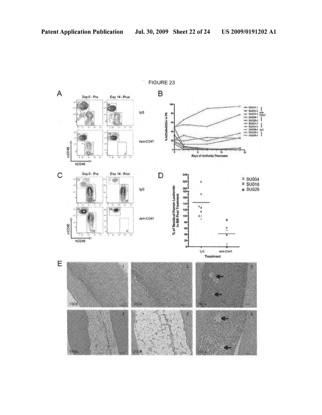 Methods for manipulating phagocytosis mediated by CD47 - diagram, schematic, and image 23