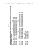 ANTIBODIES RECOGNIZING A CARBOHYDRATE CONTAINING EPITOPE ON CD-43 AND CEA EXPRESSED ON CANCER CELLS AND METHODS USING SAME diagram and image